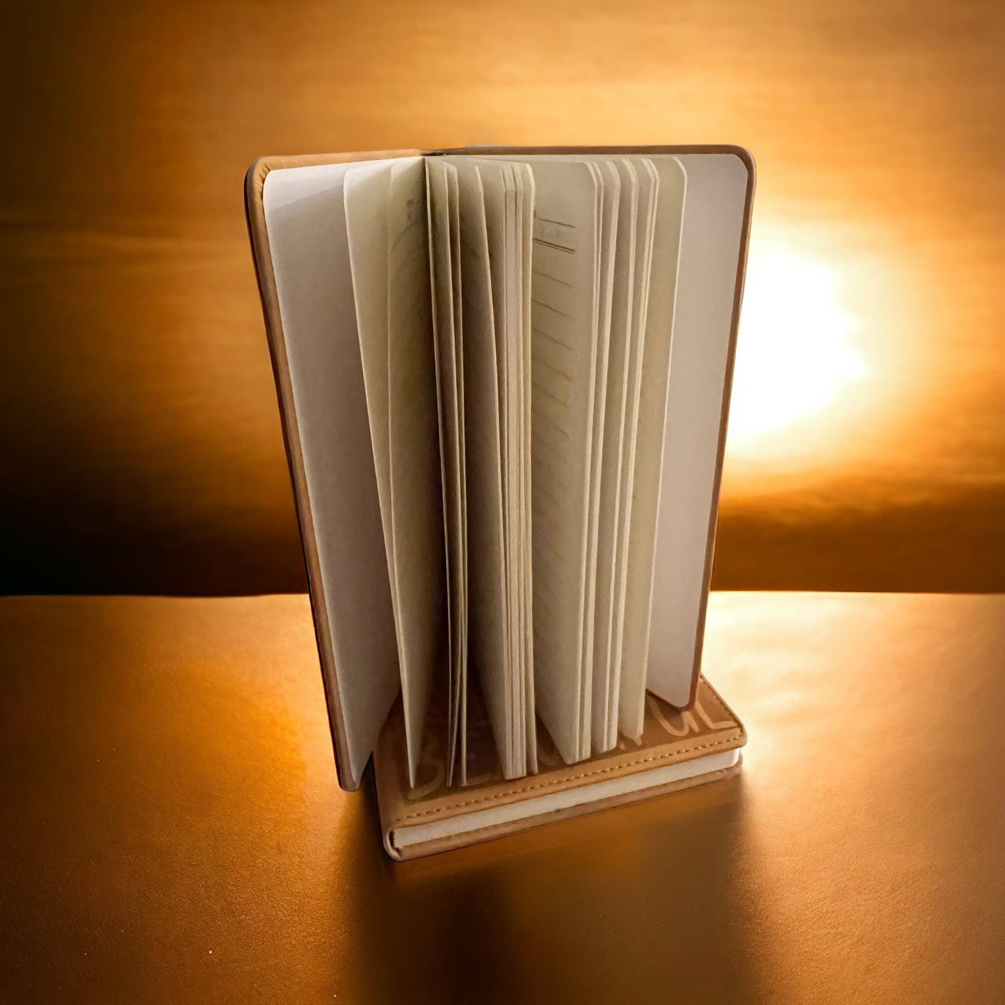 Rare and Beautiful Journal