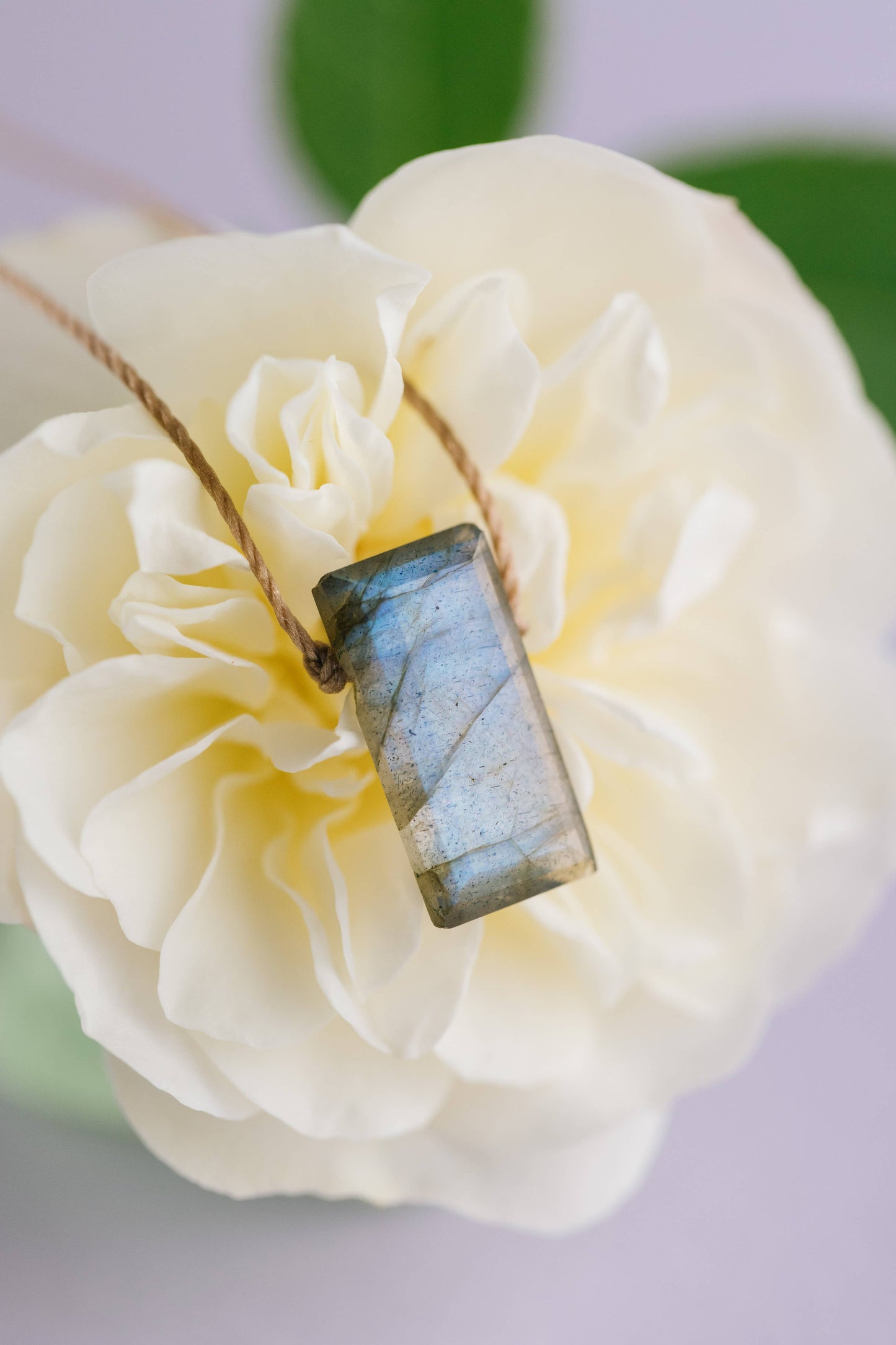 Transform Necklace - Labradorite